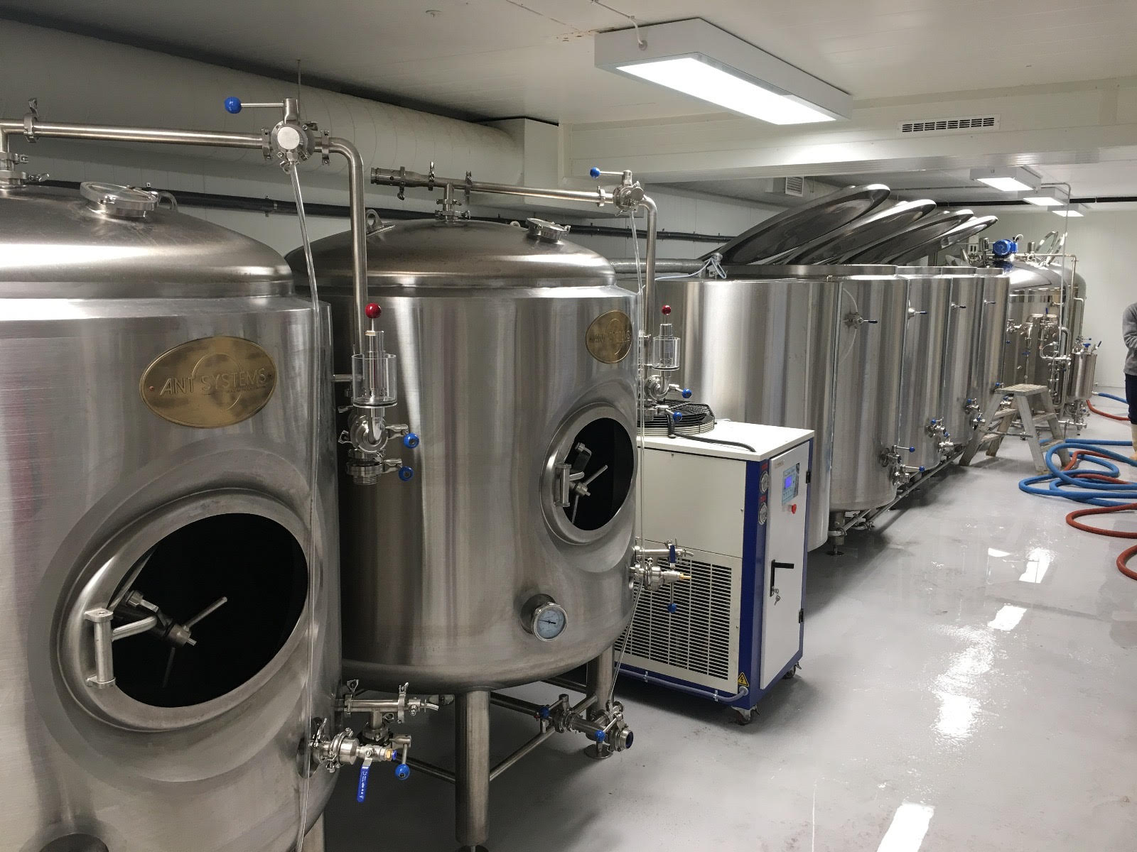 kombucha brewing systems